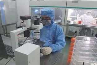 擬核與細胞核的區別及其在技術服務中的應用