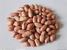 食物營(yíng)養(yǎng)冠軍榜——干果 小小的能量庫(kù)，大大的健康寶